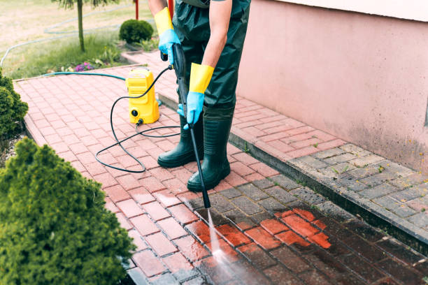 Best Solar Panel Cleaning  in Saks, AL